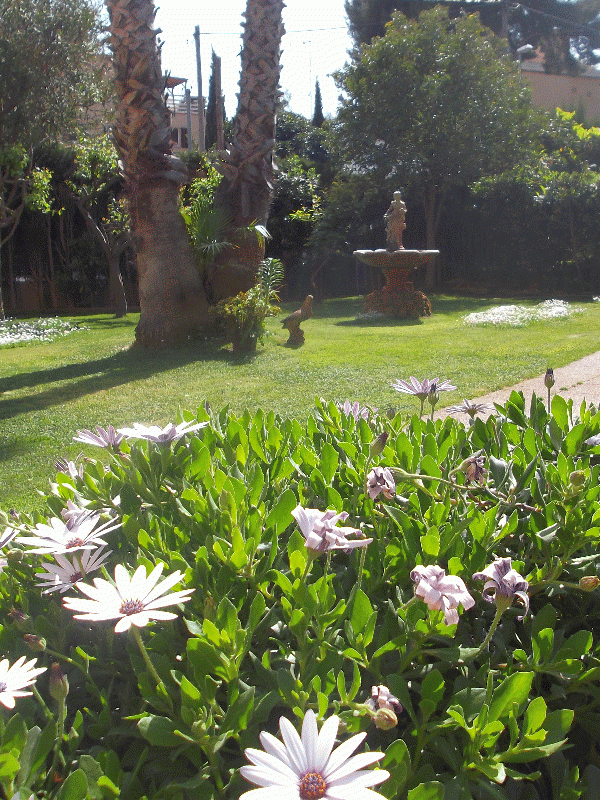 Jardín 2